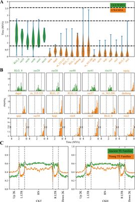 Activation characteristics of Ty3-retrotransposons after spaceflight and genetic stability of insertion sites in rice progeny